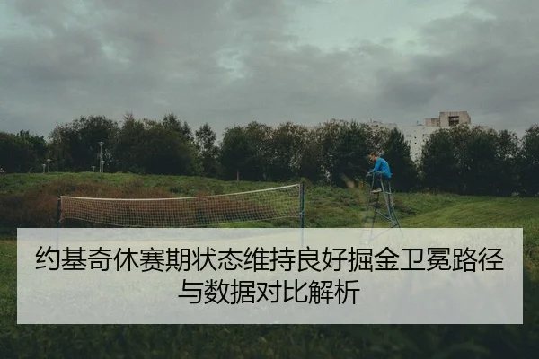 约基奇休赛期状态维持良好掘金卫冕路径与数据对比解析